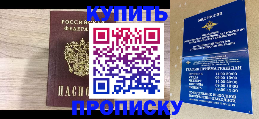 прописка 2025 в Камышине